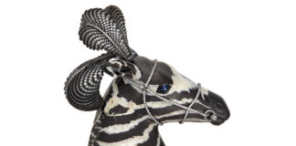 Zebre, conchiglie, orchidee, tulipani pappagallo: i gioielli JAR di Ann Getty zebra imbrigliata in agata fasciata con diamanti tondi, zaffiro cabochon marquise, smalto nero, argento e oro giallo 18 carati, in asta da Christie’s