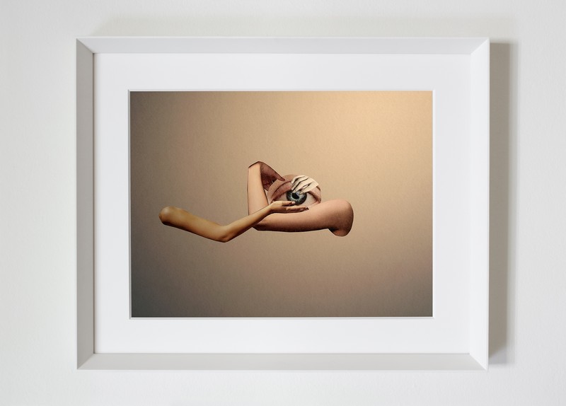 Quadro della campagna fotografica di Crieri