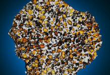 Deep Impact, l’asta Christie’s dedicata alle meteoriti e ai gioielli extraterrestri Una “fetta” di Pallasite, una delle meteoriti più belle ed apprezzate.