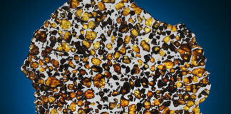 Deep Impact, l’asta Christie’s dedicata alle meteoriti e ai gioielli extraterrestri Una “fetta” di Pallasite, una delle meteoriti più belle ed apprezzate.