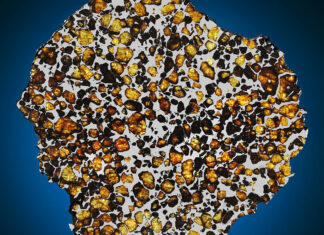 Deep Impact, l’asta Christie’s dedicata alle meteoriti e ai gioielli extraterrestri Una “fetta” di Pallasite, una delle meteoriti più belle ed apprezzate.