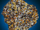 Deep Impact, l’asta Christie’s dedicata alle meteoriti e ai gioielli extraterrestri Una “fetta” di Pallasite, una delle meteoriti più belle ed apprezzate.