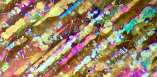 GemGenève svela un contest di fotomicrografia che avvicina l’arte e la gemmologia Una sunstone vista al microscopio