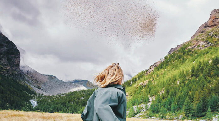 Il Fashion Film nel mondo del gioiello: debutta “The Shape of Life” Dettaglio della locandina del cortometraggio “The Shape of Life” (2024)