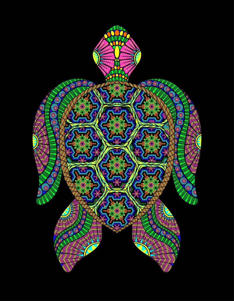 Rappresentazione di una tartaruga con i motivi dell’arte Huichol