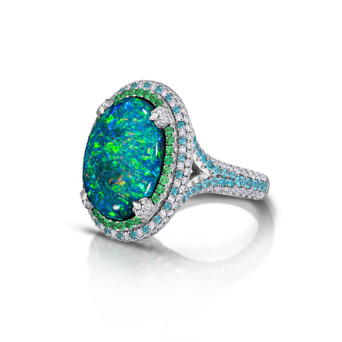 Anello di Niveet Nagpal