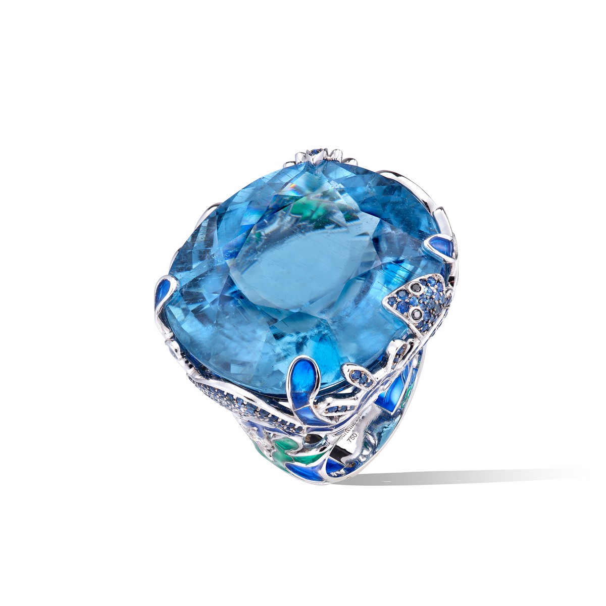 Anello “Tortue et la sécheresse” da un’altra prospettiva