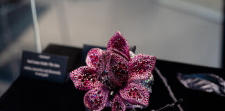 Diana Zhang: dalla Cina, l’arte di trasformare la natura in gioielli Spilla con rubini e diamanti in oro 18 carati e argento