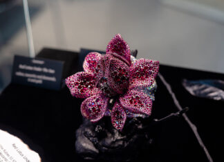 Diana Zhang: dalla Cina, l’arte di trasformare la natura in gioielli Spilla con rubini e diamanti in oro 18 carati e argento