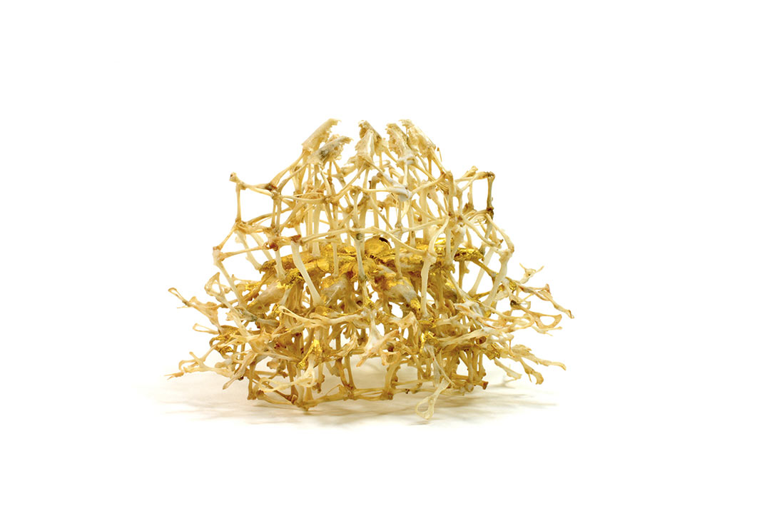 enjoiat-home D: “Sin Digerir” di Elena Moreno, dall’edizione 2017 di ENJOIA’T.