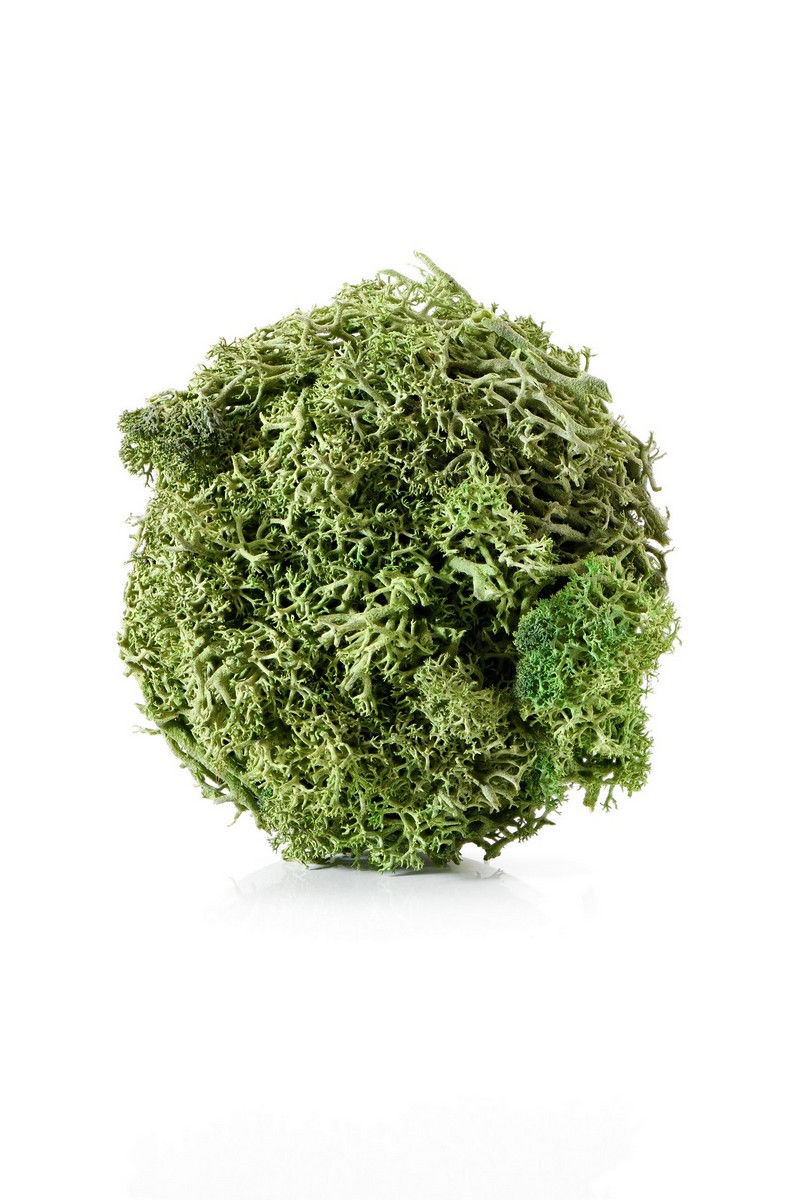 “Moss” di Sara Barbanti, spilla di colore verde
