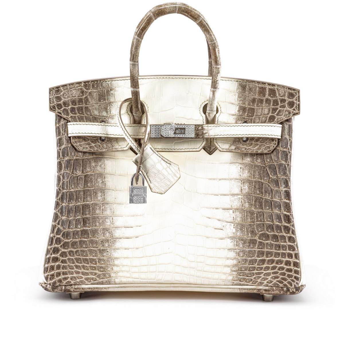 Borsa Himalaya Birkin di Hermès in oro bianco 18 kt e diamanti