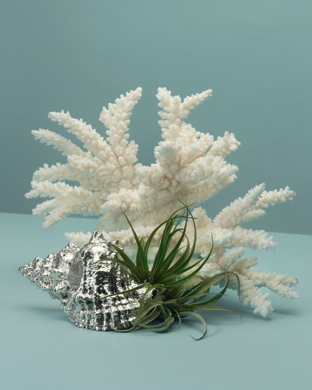 Conchiglie d’argento e creature marine della “Furry Collection”