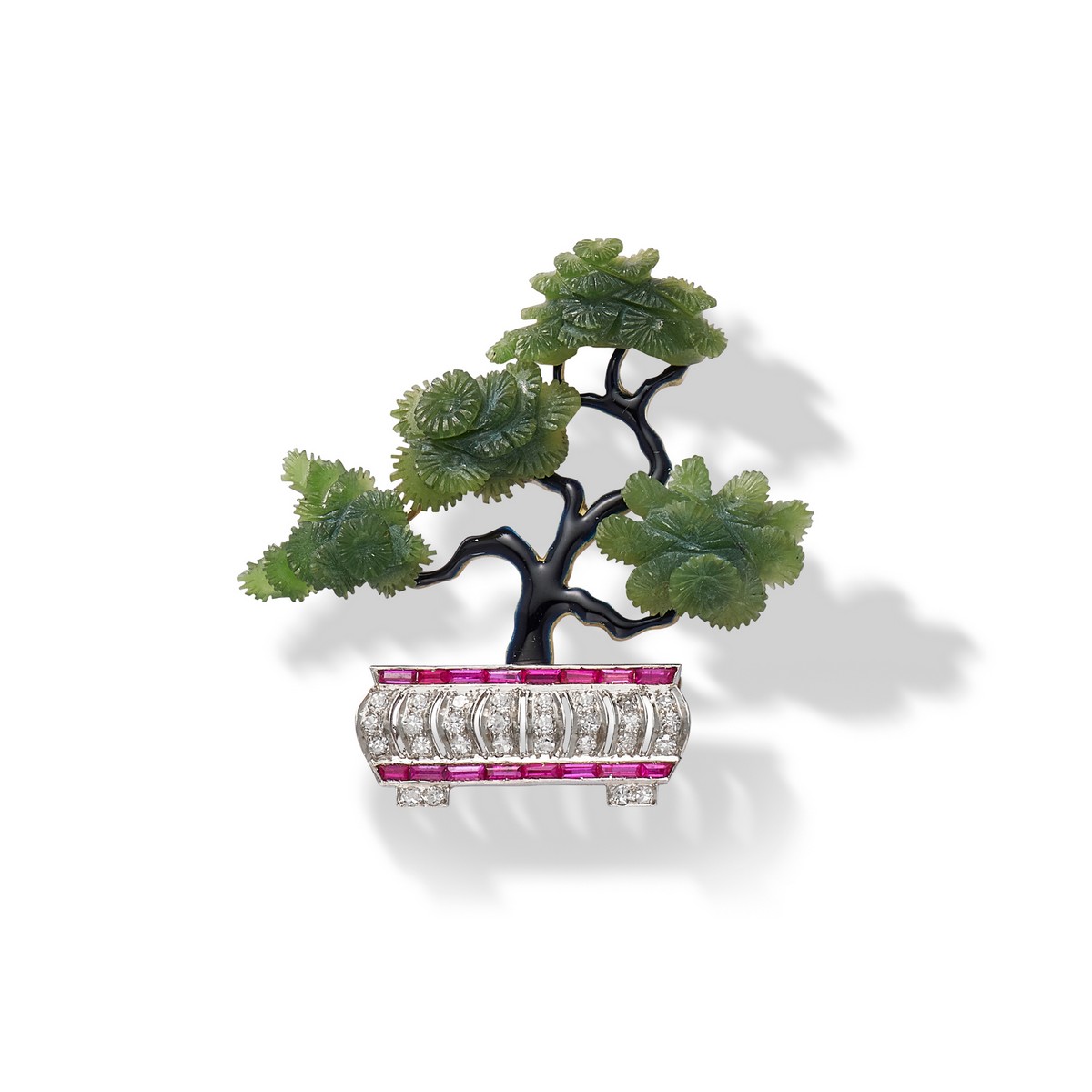 Bonsai della collezione Faerber