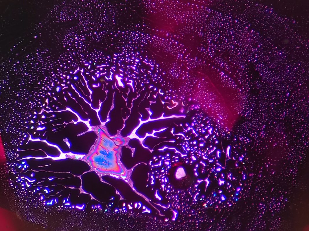 Lai Chung Ming. Questo rubino thailandese trattato termicamente mostra una tipica inclusione che, grazie all’illuminazione riflessa, produce colori di interferenza.