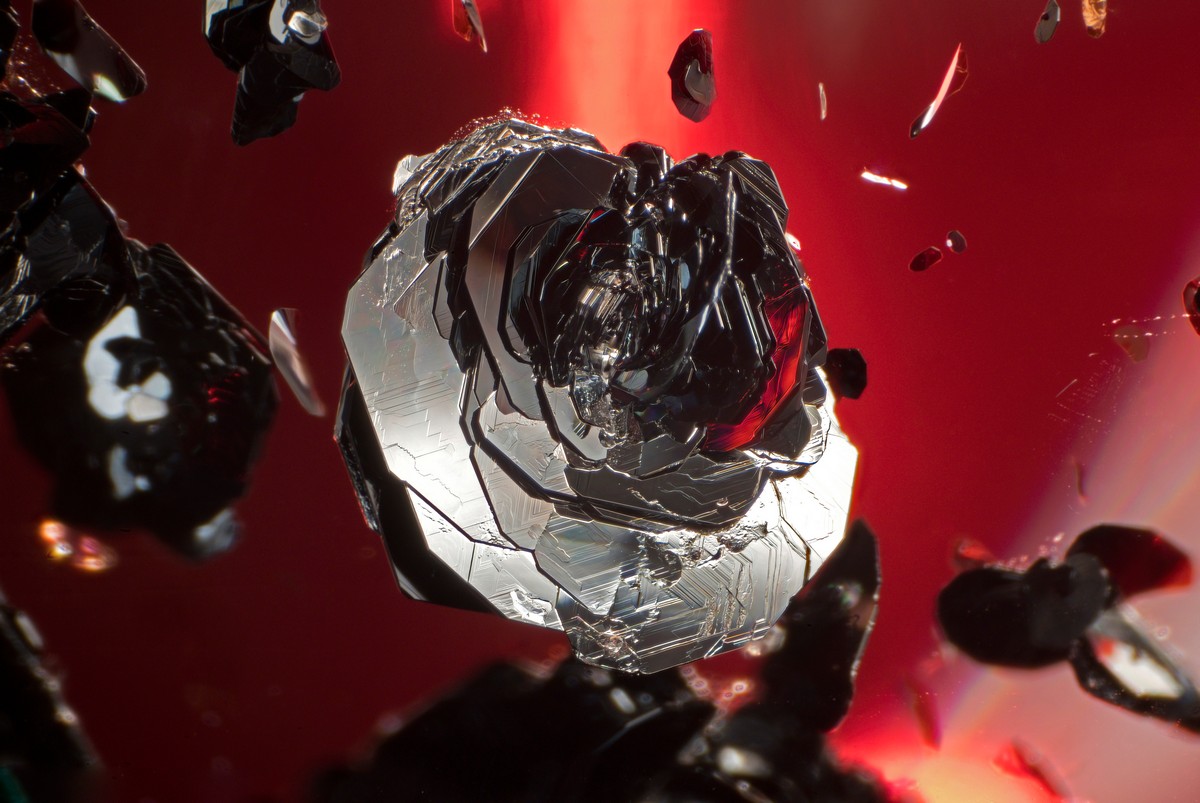Liviano Soprani. Cristalli tabulari di Hematiteformano la classica “rosa nera” all’interno di un quarzo ialino brasiliano. Soprani si è aggiudicato, con questo scatto, il premio “Photographer of the year 2024” indetto dal Gem-A. Photo Courtesy of Liviano Soprani. 