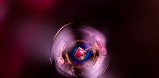 Dalla constatazione alla meraviglia, l’immagine gemmologica si evolve da descrizione tecnica ad arte astratta Muhammad Ayub. Infinitamente piccolo: uno spinello ospite in uno spinello.