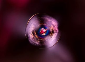 Dalla constatazione alla meraviglia, l’immagine gemmologica si evolve da descrizione tecnica ad arte astratta Muhammad Ayub. Infinitamente piccolo: uno spinello ospite in uno spinello.