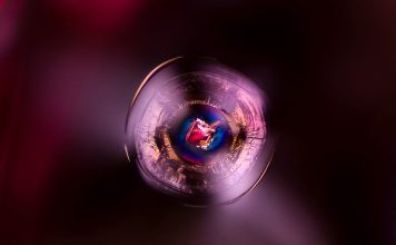 Dalla constatazione alla meraviglia, l’immagine gemmologica si evolve da descrizione tecnica ad arte astratta Muhammad Ayub. Infinitamente piccolo: uno spinello ospite in uno spinello.
